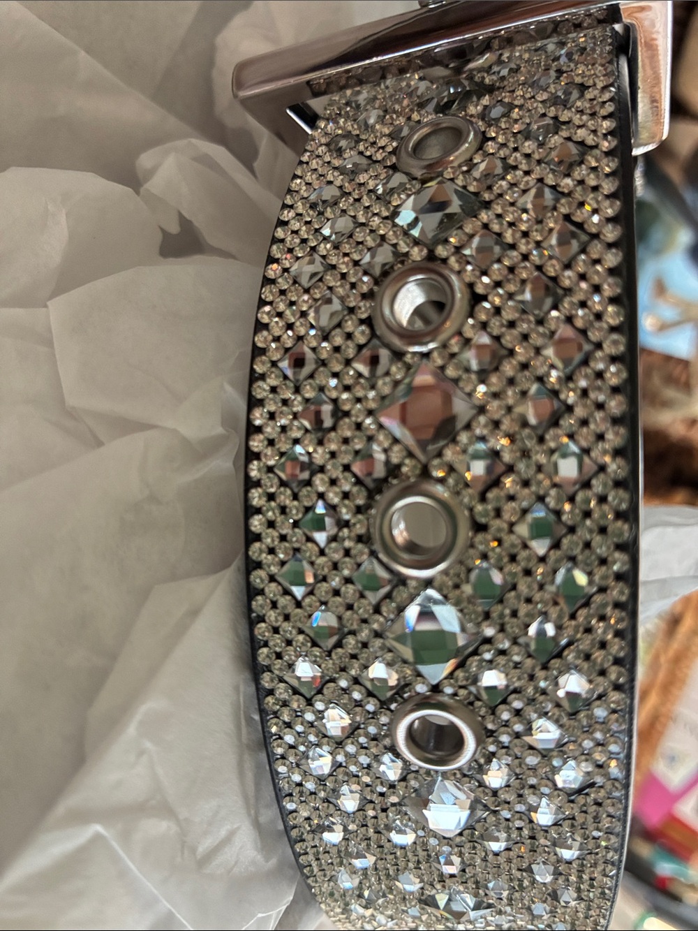 Jacqueline Kent “Diamonds in the Ruff” Sparkling Dog Collar Large - Picture 6 of 7